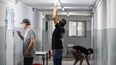 MANOS A LA OBRA. Los trabajos llegaron a todas las escuelas públicas.