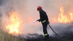 Bomberos interpelan a la sociedad antes el avance de los incendios forestales