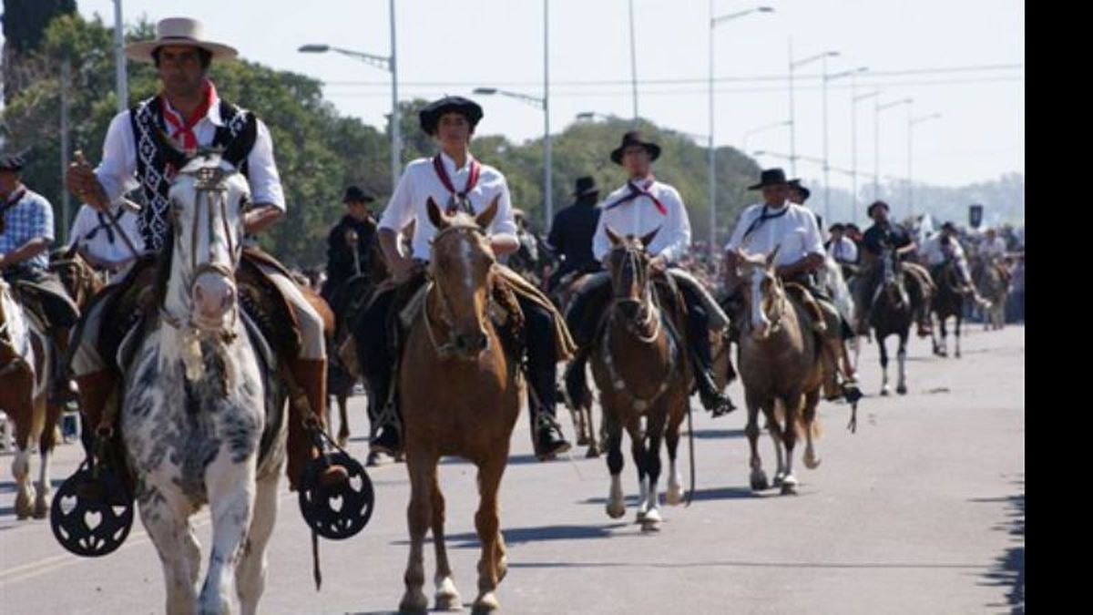 Pilar controlará a caballos en un evento polémico