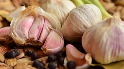 OTOÑO: paso a paso cómo plantar AJO en tu huerta