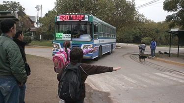 PISOS. El Ejecutivo quiere que se renueven los permisos a las líneas actuales..