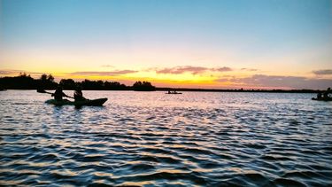 El remo nocturno en las playas de Puerto Pilar es una experiencia imperdible para los amantes de la naturaleza