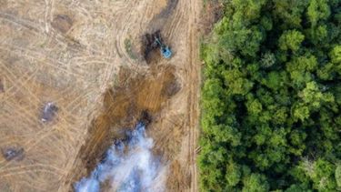 la deforestacion en la amazonia de brasil marca un nuevo record historico en abril