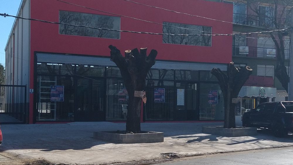 Preocupación por los árboles de la Avenida Tomás Márquez