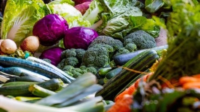 Verdura a 20 pesos el kilo en Derqui