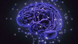 Una semana mundial para entender y reflexionar sobre el cerebro