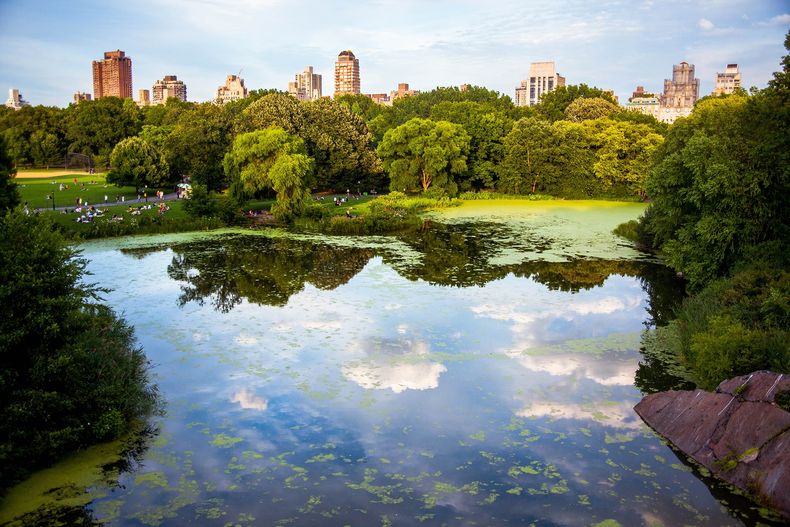 Ciudades verdes. Foto: Wampartners.com..jpg