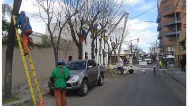 CERRADA. La calle Yrigoyen, ayer, en pleno trabajo de poda..