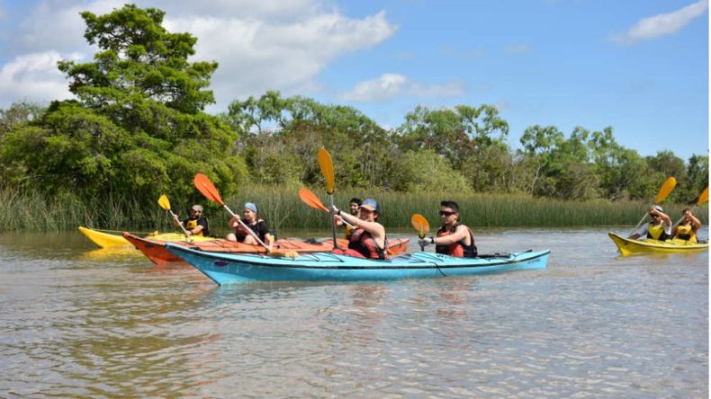 En kayak por el corazón del Delta. (Perfil).