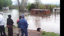 AFECTADOS. La zona del Pinazo será uno de los focos de los trabajos..
