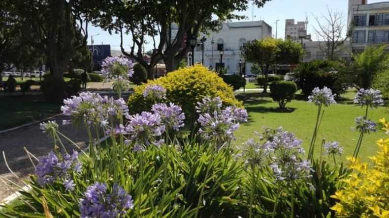 Cerramos la semana con esta bella postal de uno de los rincones de nuestra querida #Plaza12DeOctubre, con una superficie de aproximadamente una hectárea y media, cubierta de vegetación, monumentos, senderos y pérgolas. Pilar Turismo / @PilarTurismo..
