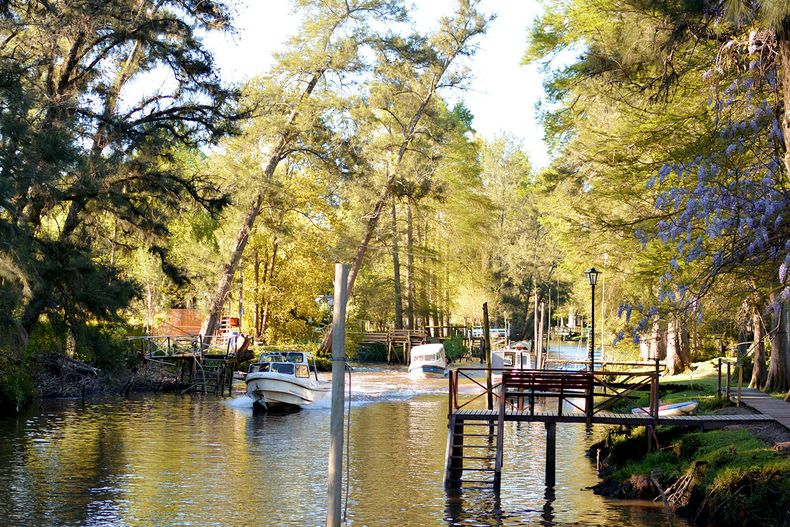 Las islas en Tigre son una gran opción para disfrutar del verano. (El Delta).