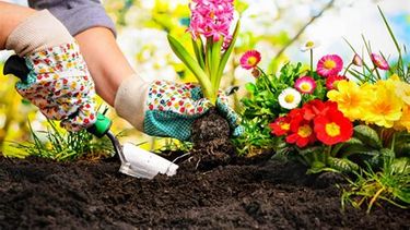 jardin en primavera: consejos y tareas para octubre