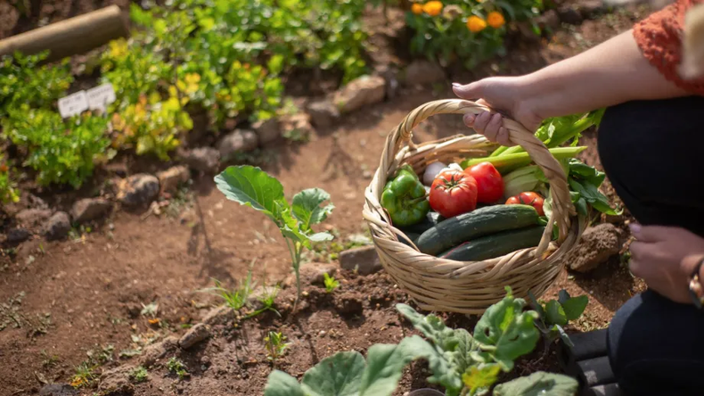 ¡Elegir alimentos orgánicos! (rionegro.com.ar).