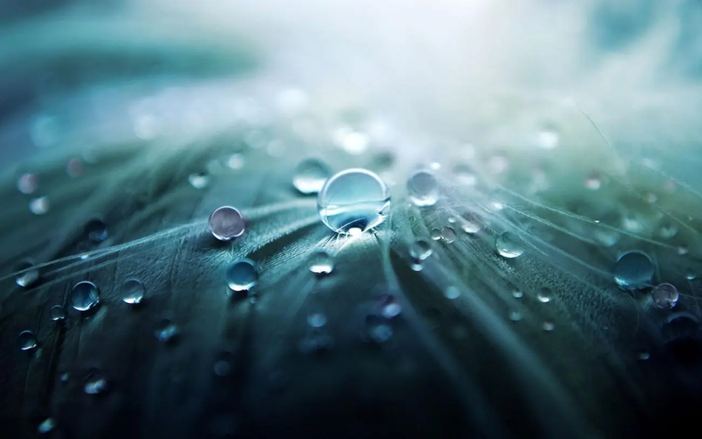 Será la primera Licenciatura en agua de Latinoamérica. (pixabay.com).