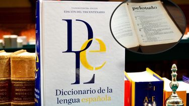 la rae incorporo la palabra pelotudo a su diccionario
