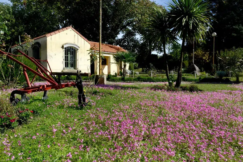 El Vivero Municipal es un vasto bosque de más de 200 hectáreas. (Sureña).
