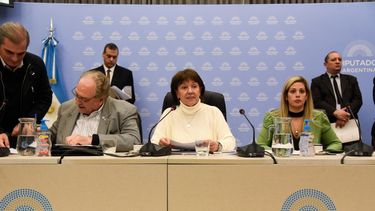 DEBATE EN EL CONGRESO. Blanca Osuna, presidenta de la comisión de Educación de la Cámara de Diputados.&nbsp;