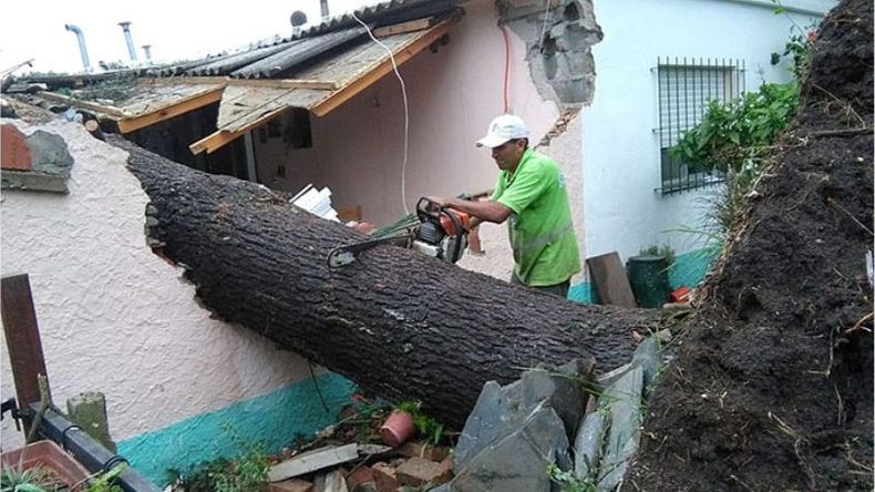 Siguen los reclamos por árboles y postes caídos sobre viviendas