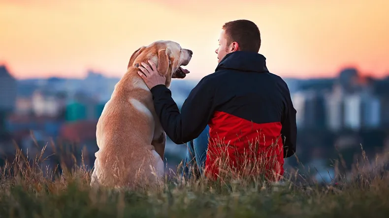 La influencia de los animales en la vida de las personas. (noticias724.com)..webp