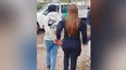 La mujer fue detenida en su casa del barrio Pinazo. La mujer fue detenida en su casa del barrio Pinazo.