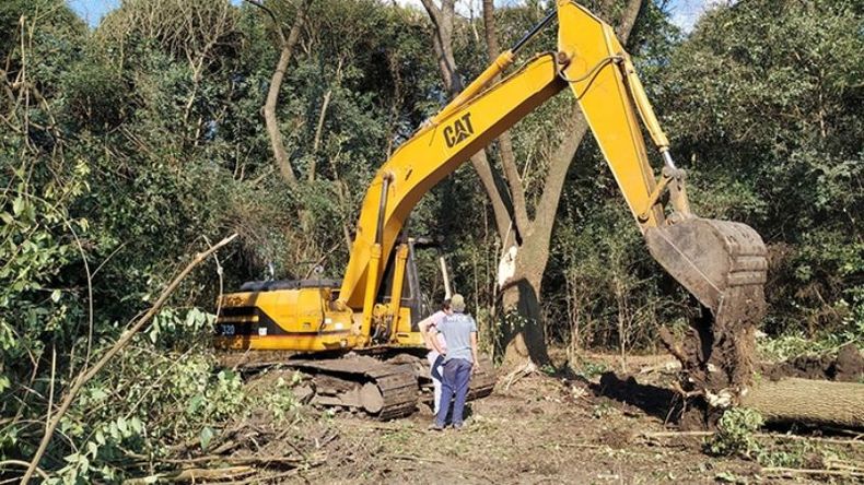 MONTE. La tala de árboles generó el alerta que permitió descubrir la cesión de la tierra..