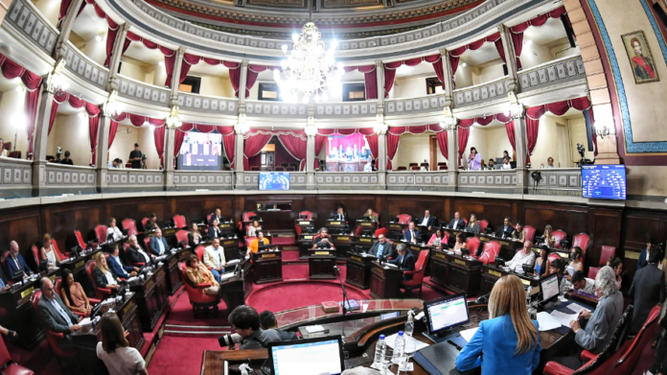 EN DUDA. El proyecto fue aprobado por el Senado pero son bajas las chances de que se convierta en ley.&nbsp;
