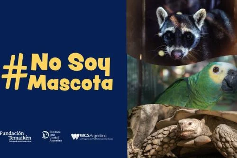 Vuelve la campaña 2024 “No soy mascota”. (bioguia.com)..png