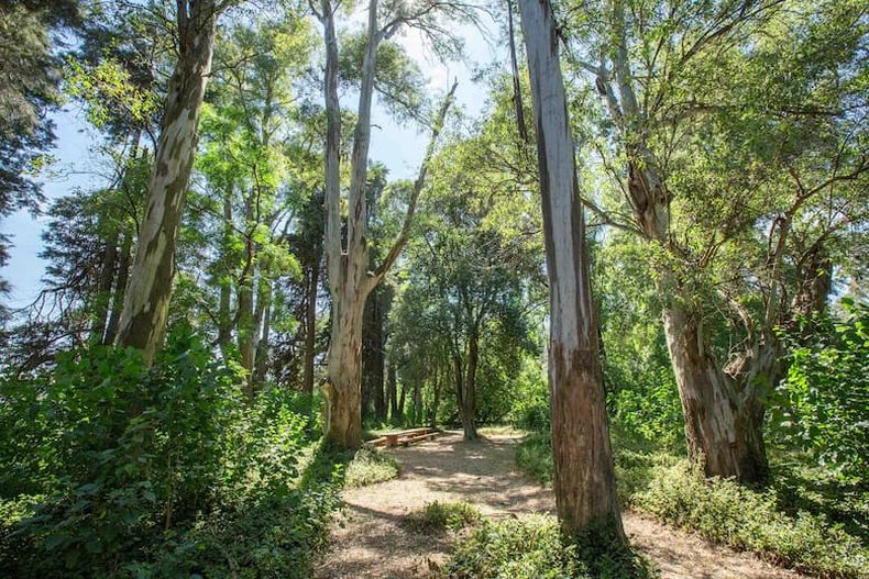 Para pasar un día de campo en La Comarca hay que hacer una reserva previa. (Mario Cherrutti).