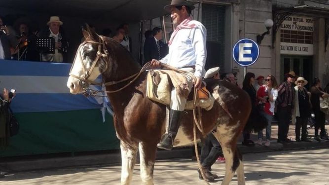 Pide ayuda para encontrar a su caballo