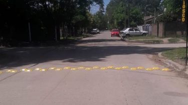 NUEVAS. Las tortuguitas colocadas en la calle Venezuela, de Monterrey Sur..