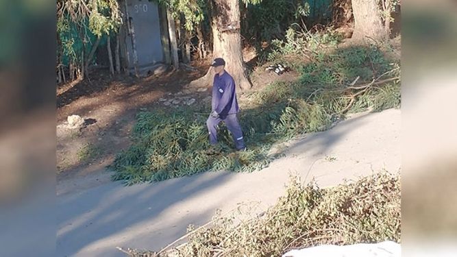 @Edenor, por qué no juntan la mugre que hacen en los barrios. Dejan las ramas tiradas. No es responsabilidad de ustedes limpiar la basura que generan? @MunicipioPilar, puede hacer algo con estos sucios. Teniente General Juan Domingo Perón, entre Alerces y Casuarinas, Manuel Alberti..