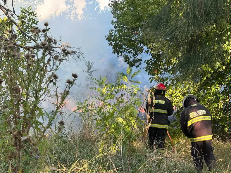 incendio de campo