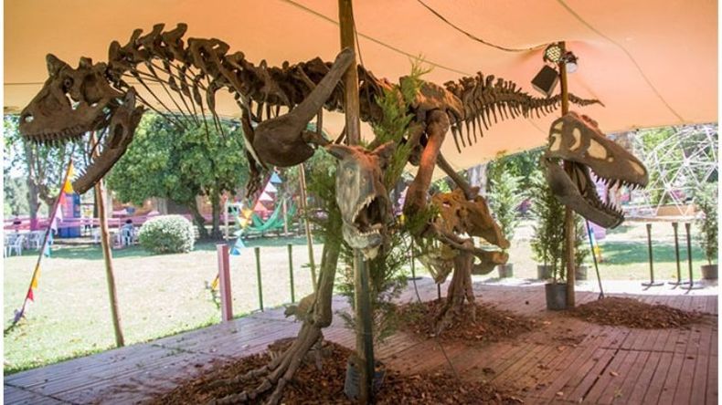 DINOS. En el sector de los fósiles, los chicos podrán ser arqueólogos por un rato. .