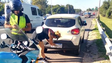 Opinan los lectores