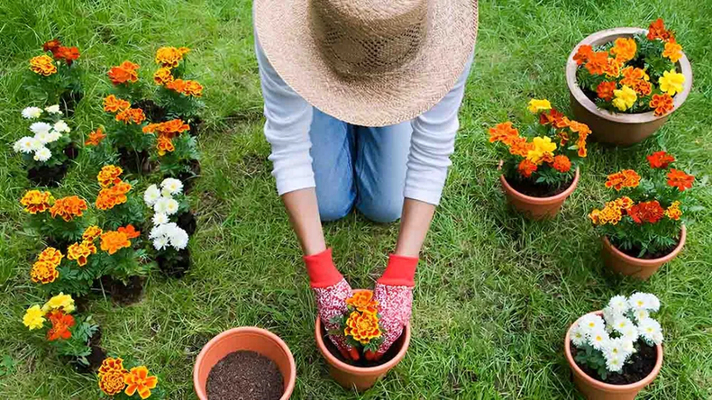 ¿Cómo preparar el jardín y la huerta para el otoño? (Los Andes).