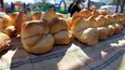 se viene la 9° fiesta de la galleta de campo en tomas jofre