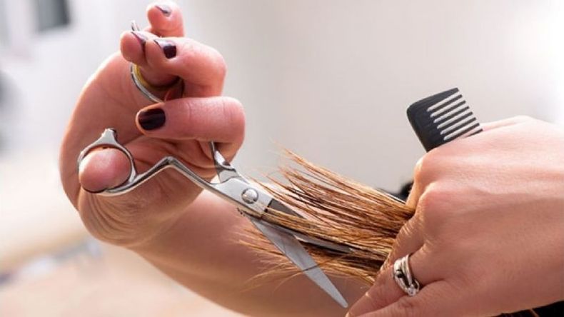 Como novedad, se incorporará la carrera de Peluquería Profesional. .