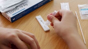 Los autotest estarían disponibles en farmacias a partir de la semana que viene. .