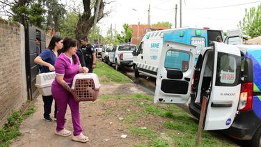 Más de 60 perros y 14 gatos fueron rescatados en Tortuguitas.