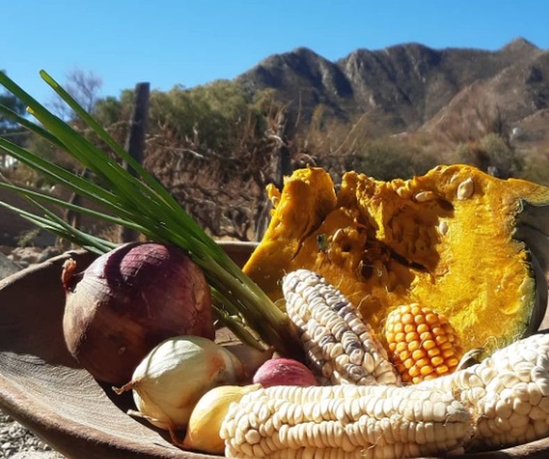 Guiso de maíz, zapallo y papa, cocido lentamente. (palermonline.com.ar)..jpg