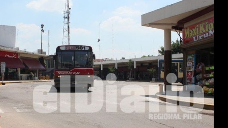 ¿Qué haría con la terminal? 54% dejaría a la terminal en su lugar actual. 46% mudaría la terminal del centro..