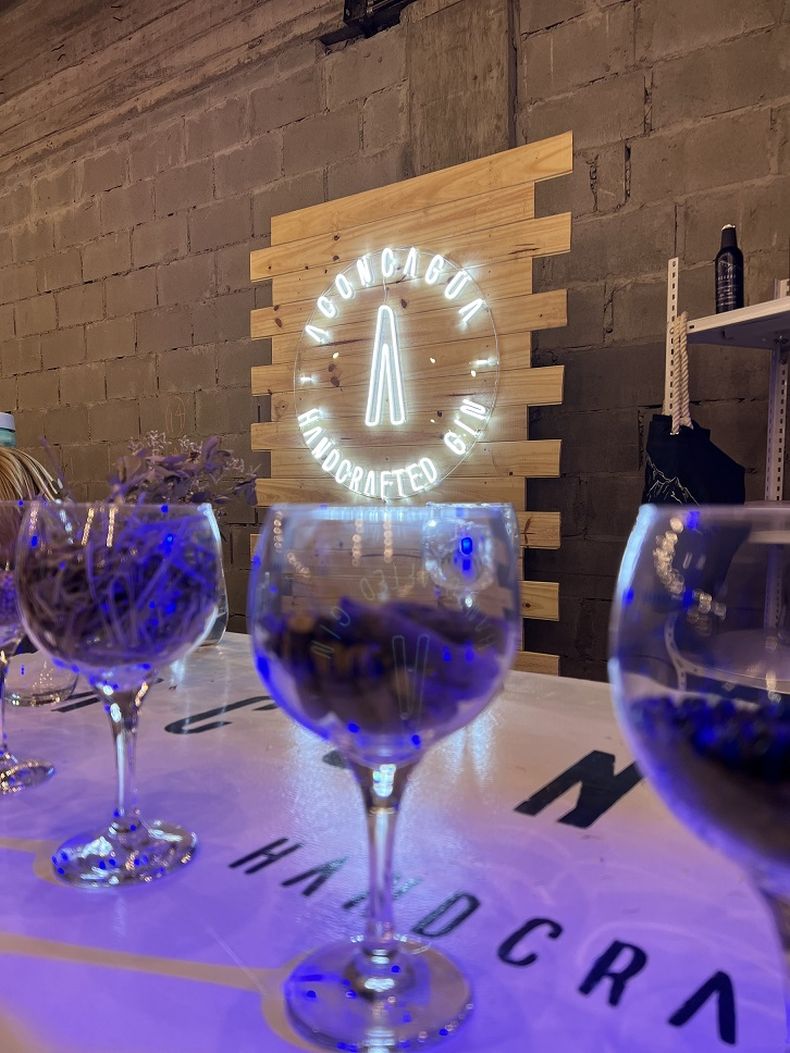 DEGUSTACIÓN: La cata de gin tendrá lugar este viernes en Tigre.&nbsp;
