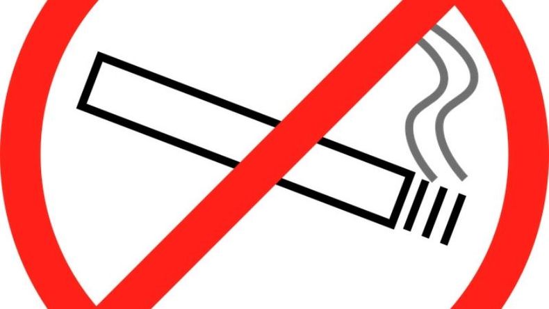 f800x450 50006_101452_5050.jpg