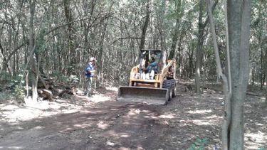 El Parque Central va tomando forma