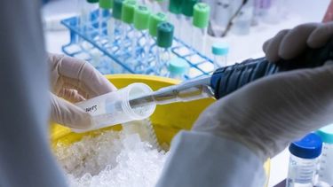 diputados: obtuvo dictamen la ley de promocion de la bio y nanotecnologia