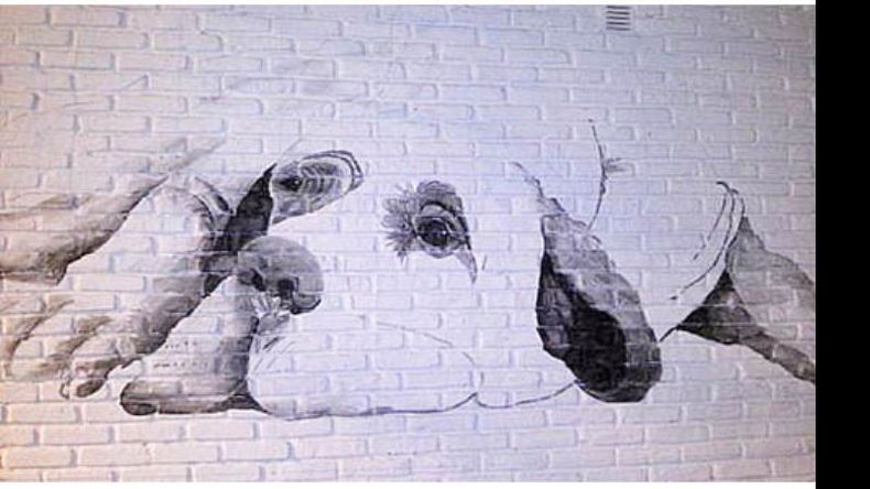 f800x450 27470_78916_5050.jpg