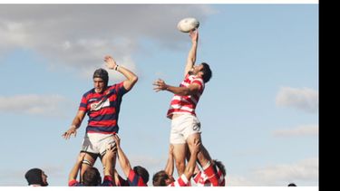 Alumni quiere mantenerse en lo más alto del Top 14 de la URBA..