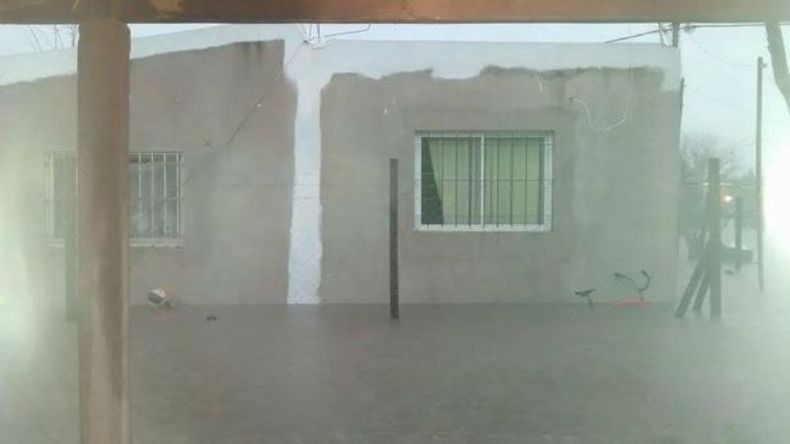 Barrio Pinazo, Del Viso..