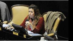La ultra kirchnerista Lucía Portos, autora de la iniciativa..